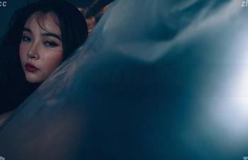 轰趴猫 – 杨晨晨sugar的作品合集：厨房的魔法师，无所不能